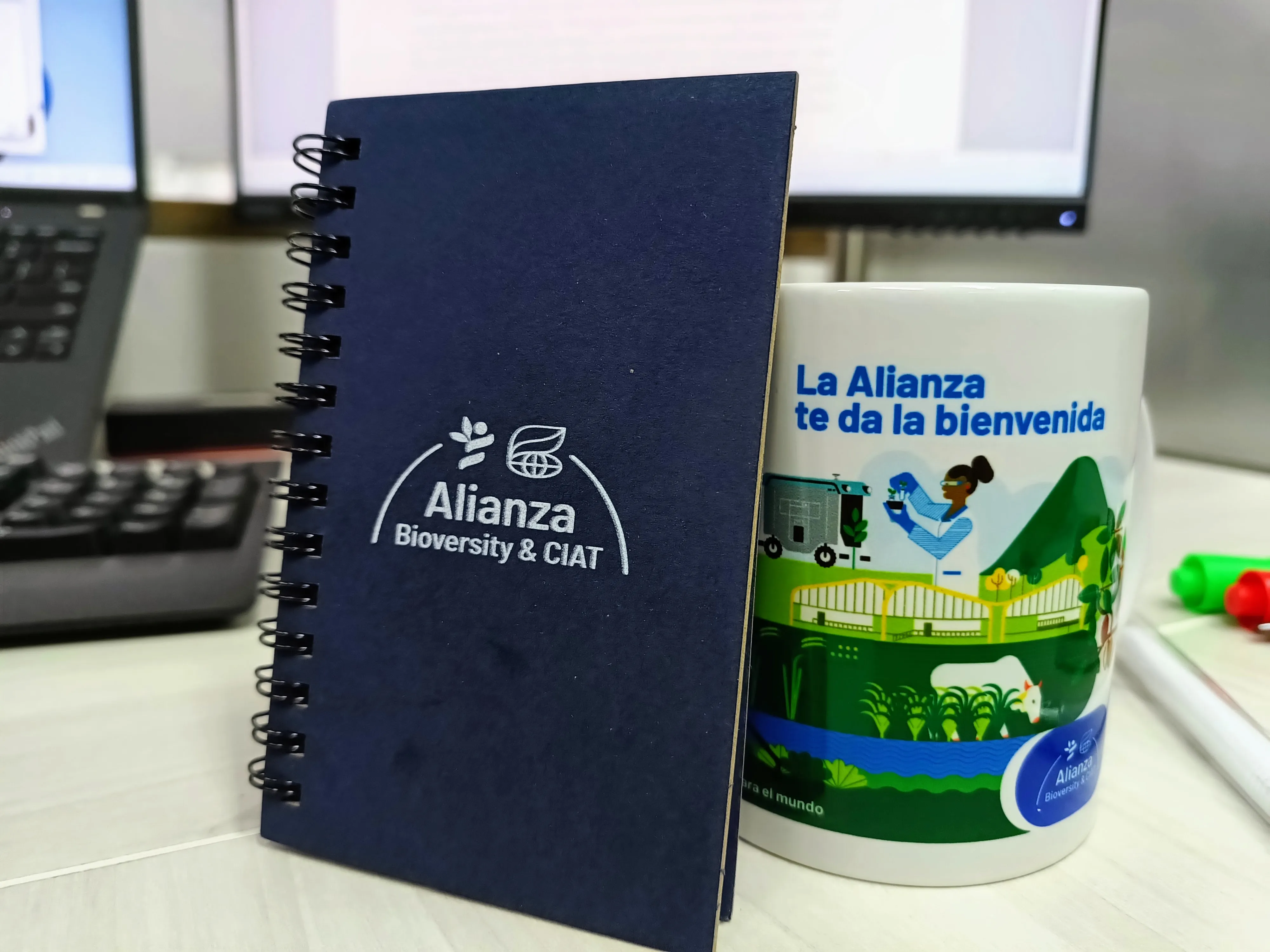 CIAT workplace